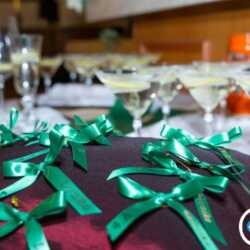 Zelené stužky Stužková slávnosť, Zelené stužky