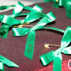 Príprava Slávnostné odovzdávanie zelených stužiek