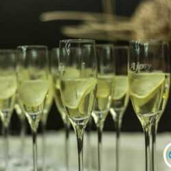 Stužková slávnosť Prípitok na stužkovej slávnosti