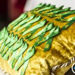 Začiatok stužkovej slávnosti Odovzdávanie zelených stužiek